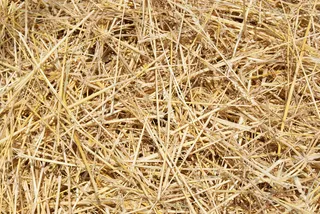 杂草堆背景图片下载