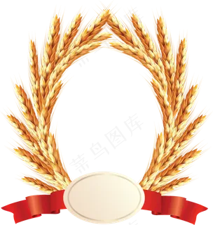 免抠农家小麦实物摄影