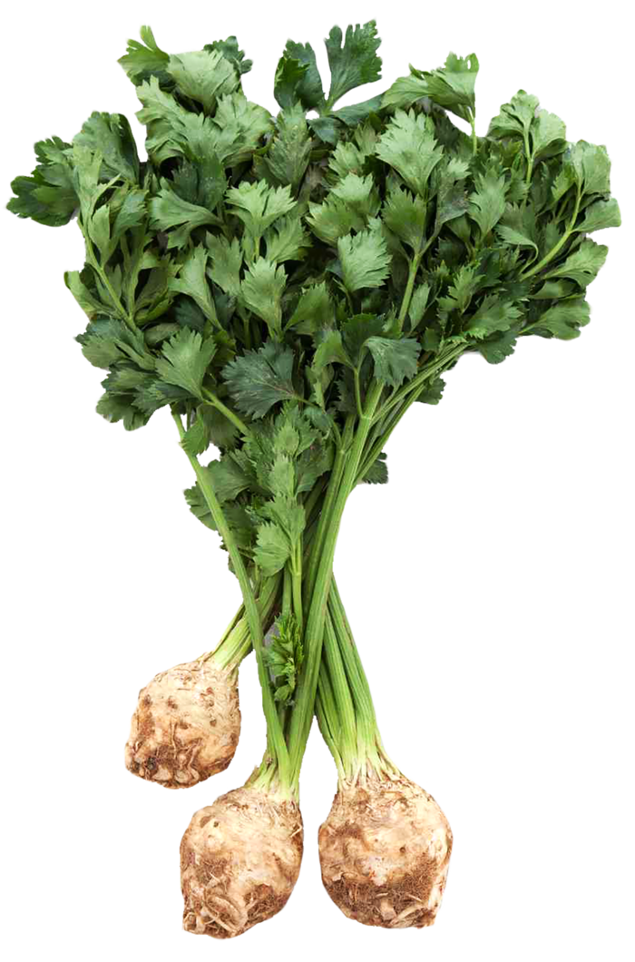 芋头甜菜蔬菜