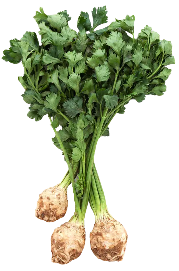 芋头甜菜蔬菜