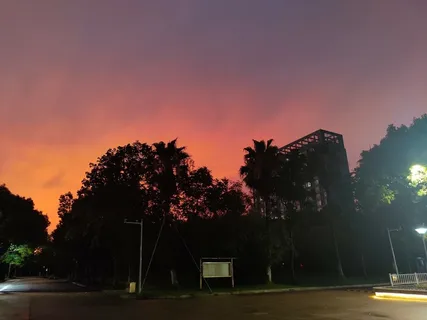 粉红色的校园天空 粉红色的校园天空