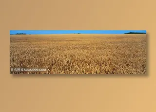 唯美稻草风景画