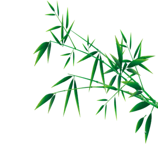 竹子水墨画中国风国画墨水书法竹子画