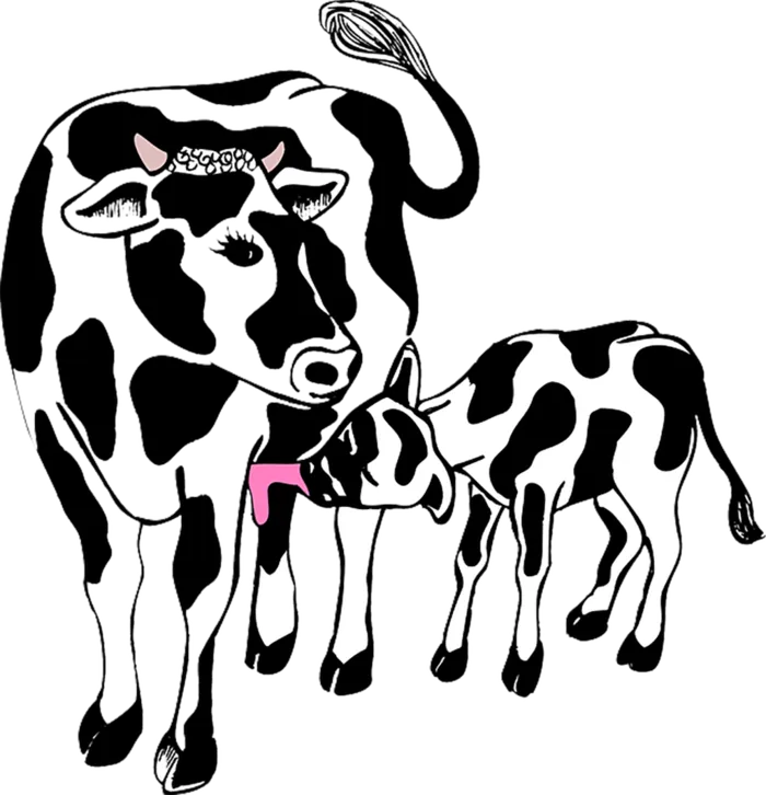 奶牛卡通简笔线条画现代农业