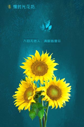 向日葵  蓝色   深蓝色背景  花坊   花朵