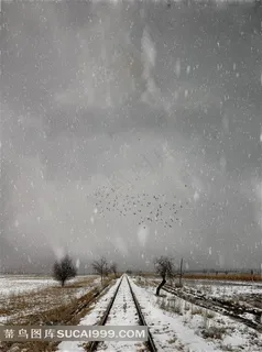 覆盖在铁轨上的白雪电影冬眠海报