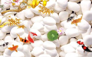 荷花鱼石头背景墙 