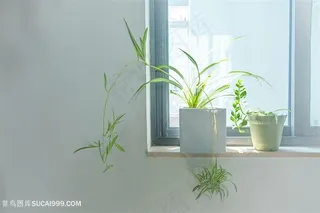 午后的办公室窗台阳光