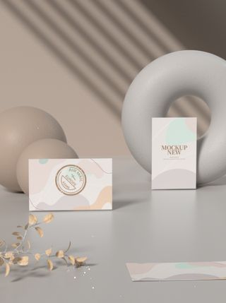 高端大气商务名片样机