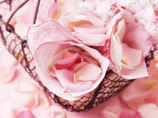 图片设计素材背景鸟语花香