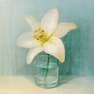 欧式花朵装饰画