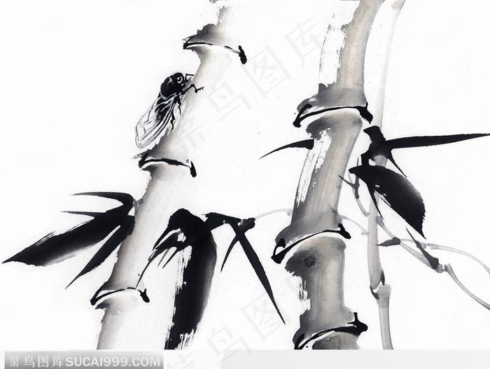 水墨画—蝉