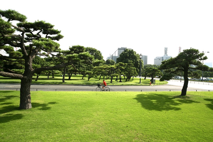 阳光下的公园