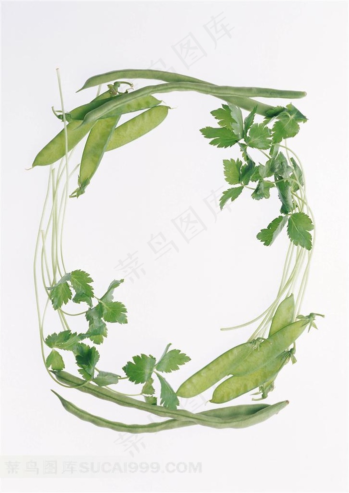 香菜豌豆高清图片