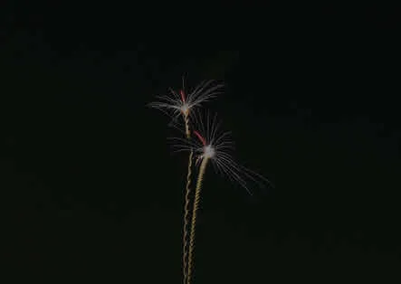 烟花图片