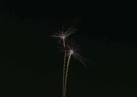 烟花图片 烟花图片