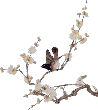 树木树枝树叶免扣素材