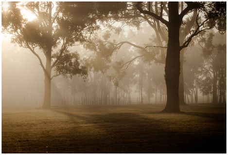 装饰画|客厅|海报画|电表箱装饰画|挂画