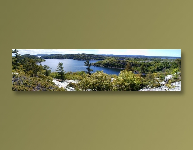 森林里面的湖大幅风景