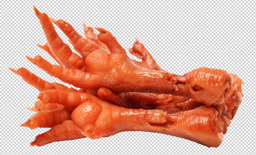 卤鸡爪免扣素材