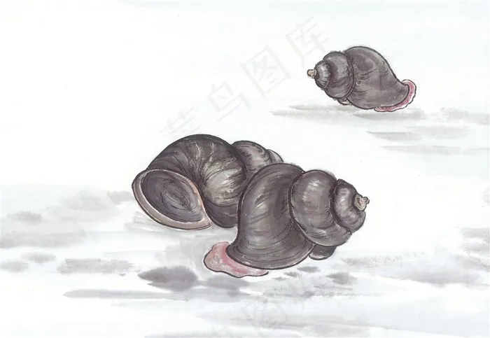 国画鱼虾蟹龟设计jpg素材