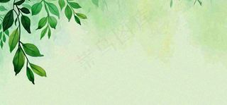 绿色简约绿植绿叶手绘插画笔墨意境