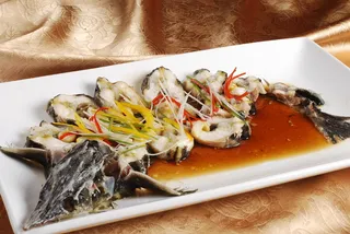 CXC03887清蒸中华鲟