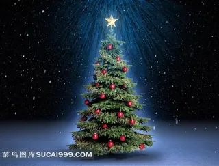 圣诞树素材图片