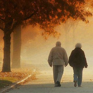 父母年长老人父亲节母亲节温馨落日背影