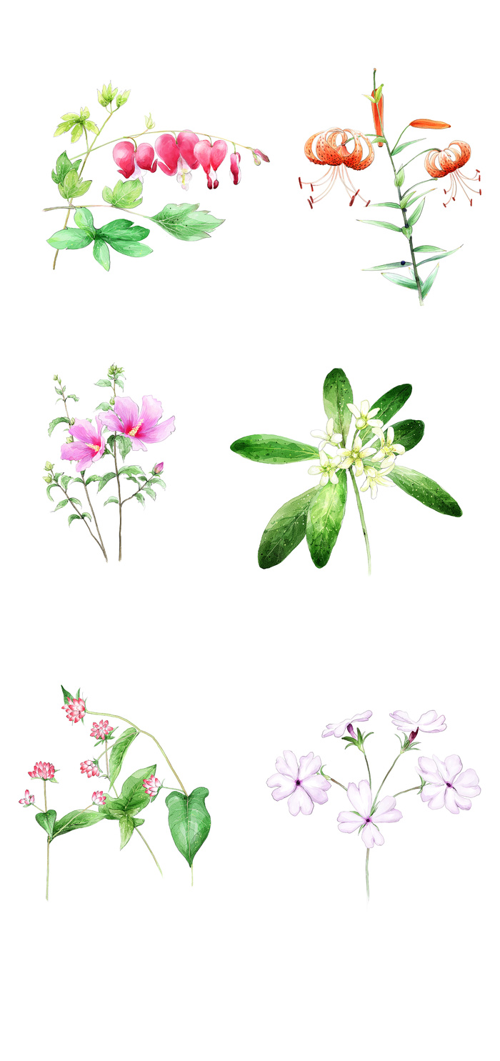 绿色简约风CDR矢量图春季花草植物插画元素