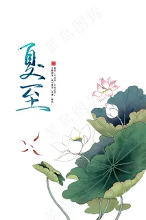 夏至24节气 夏至24节气