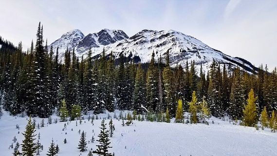 冬天山水背景风景