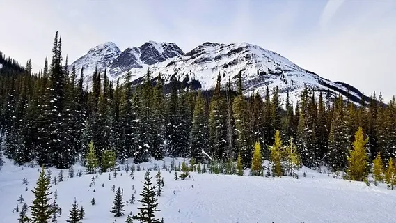 冬天山水背景风景 冬天山水背景风景