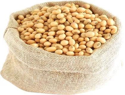 大豆 PNG免抠(420x320)