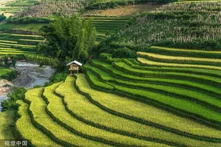 风景画 高清图 梯田 田间 绿色