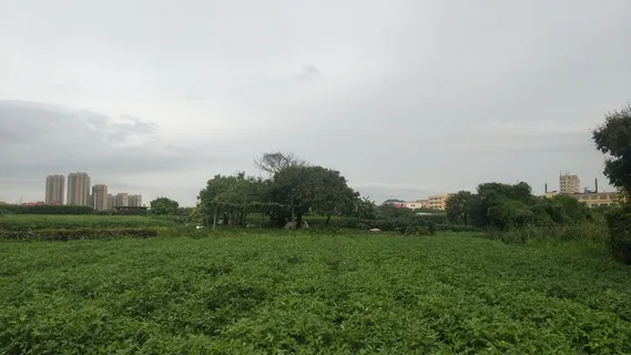 绿色田野大树乌云摄影图