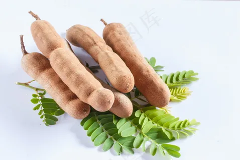 罗望子图片 罗望子图片