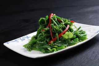 LCSC2113炝汁龙须菜