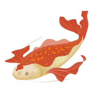 手绘烫金国潮中国风卡通锦鲤鱼金鱼插画装饰元素PSD设计素材