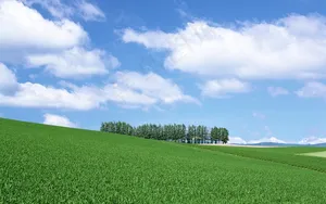 蓝天草原  