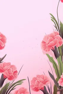 简约粉色康乃馨插画背景