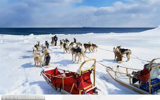 交通工具之雪橇