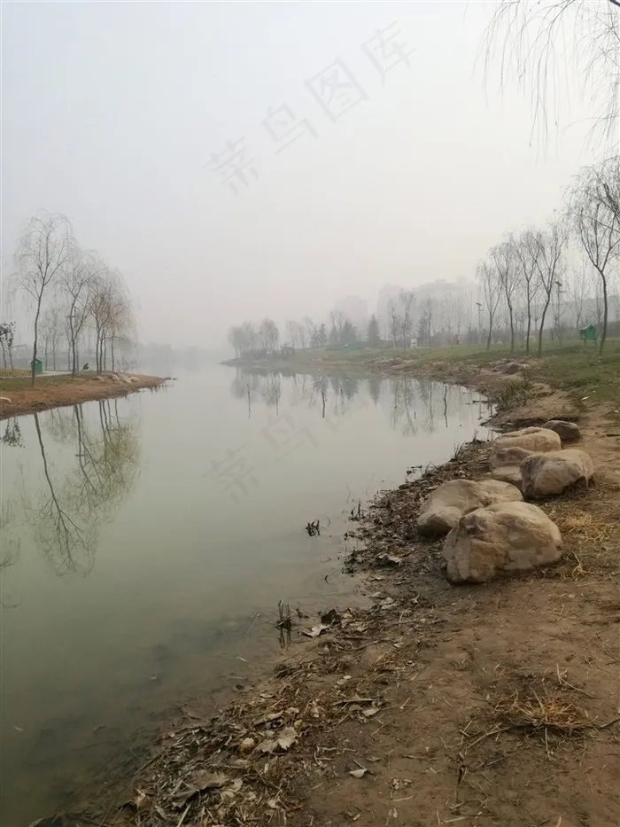 秋日河边看柳