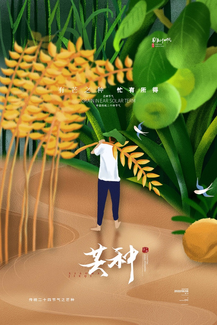 芒种 芒种宣传物料psd模版下载