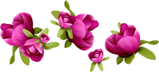 花朵玫红卡通素材谷雨