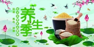 处暑养生季健康养生五谷杂粮