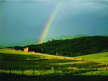 天空下草地上出现的彩虹