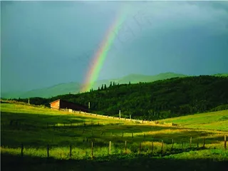天空下草地上出现的彩虹