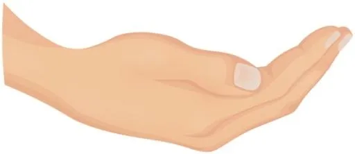 手 PNG免抠(600x261)