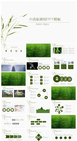 小清新通用绿色ppt预览图